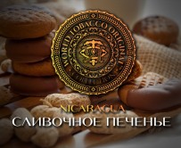 Табак WTO - Nicaragua (Сливочное печенье) N11 20 гр