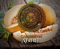 Табак WTO - Caribbean Blend (Дыня) CB17 20 гр
