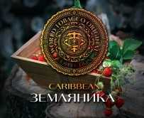 Табак WTO - Caribbean Blend (Земляника) CB03 20 гр