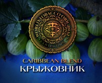 Табак WTO - Caribbean Blend (Крыжовник) CB15 20 гр